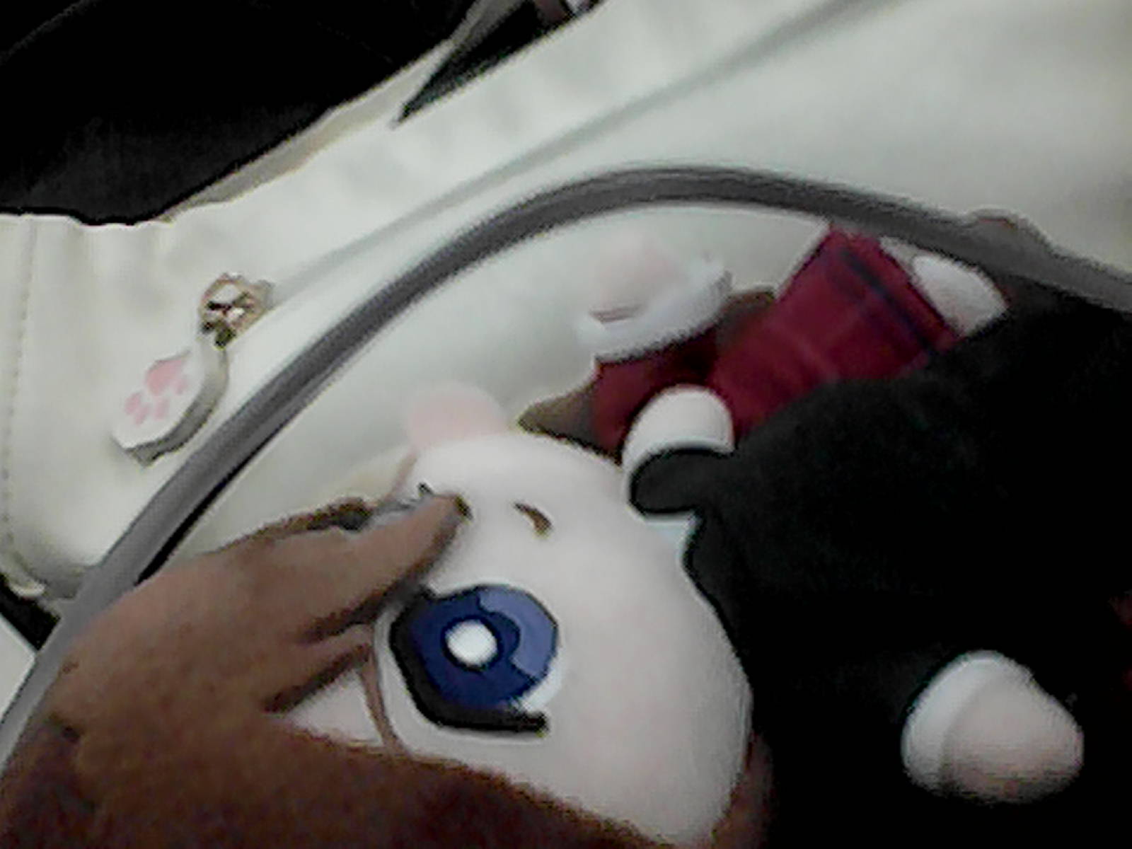 Blood donation tubing on Gundam Wing Duo and Relena plush with fanny cat next to it.